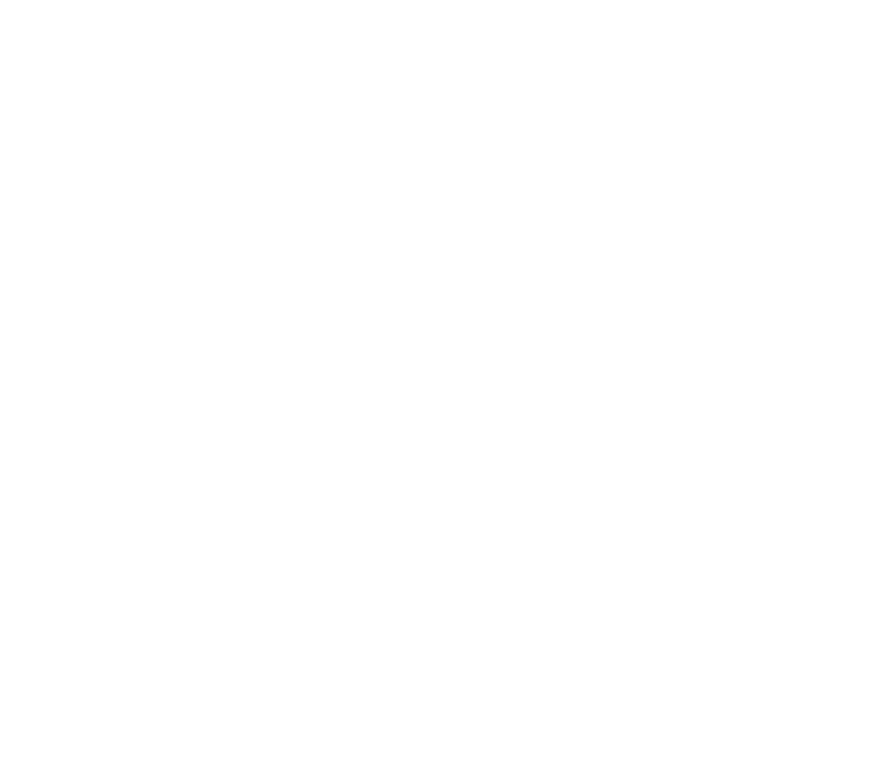 Vovchanchyn Team - тренажерный зал, ММА, тренировки logo