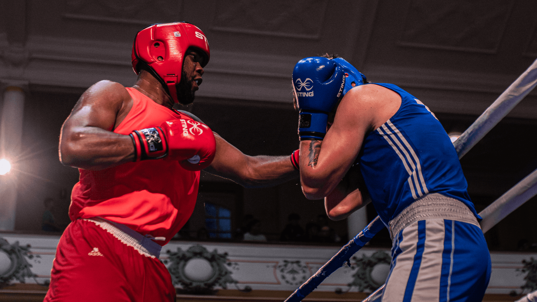 Main image of Boxing Australia Tasmania