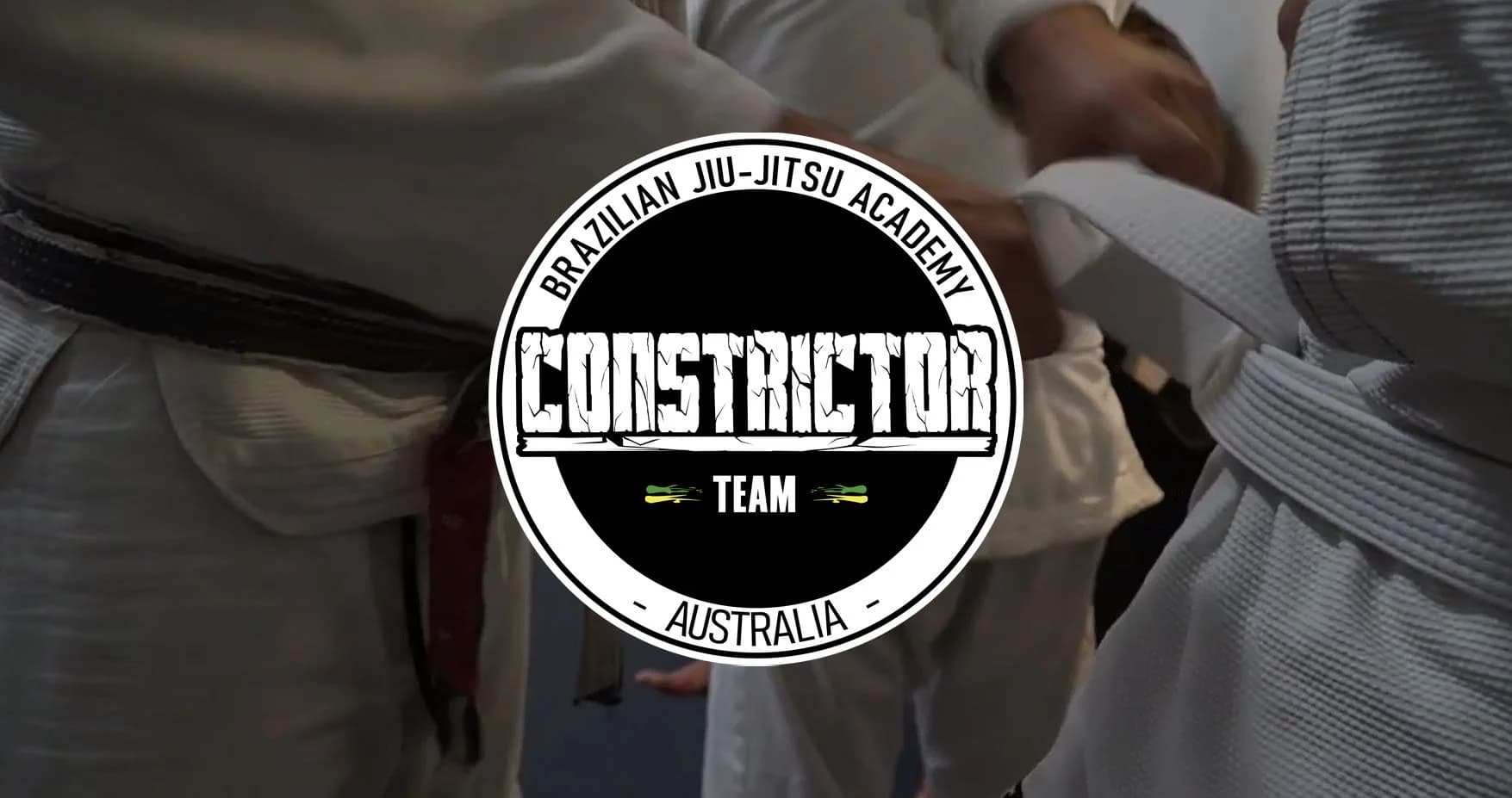 Constrictor Team BJJ Australia logo