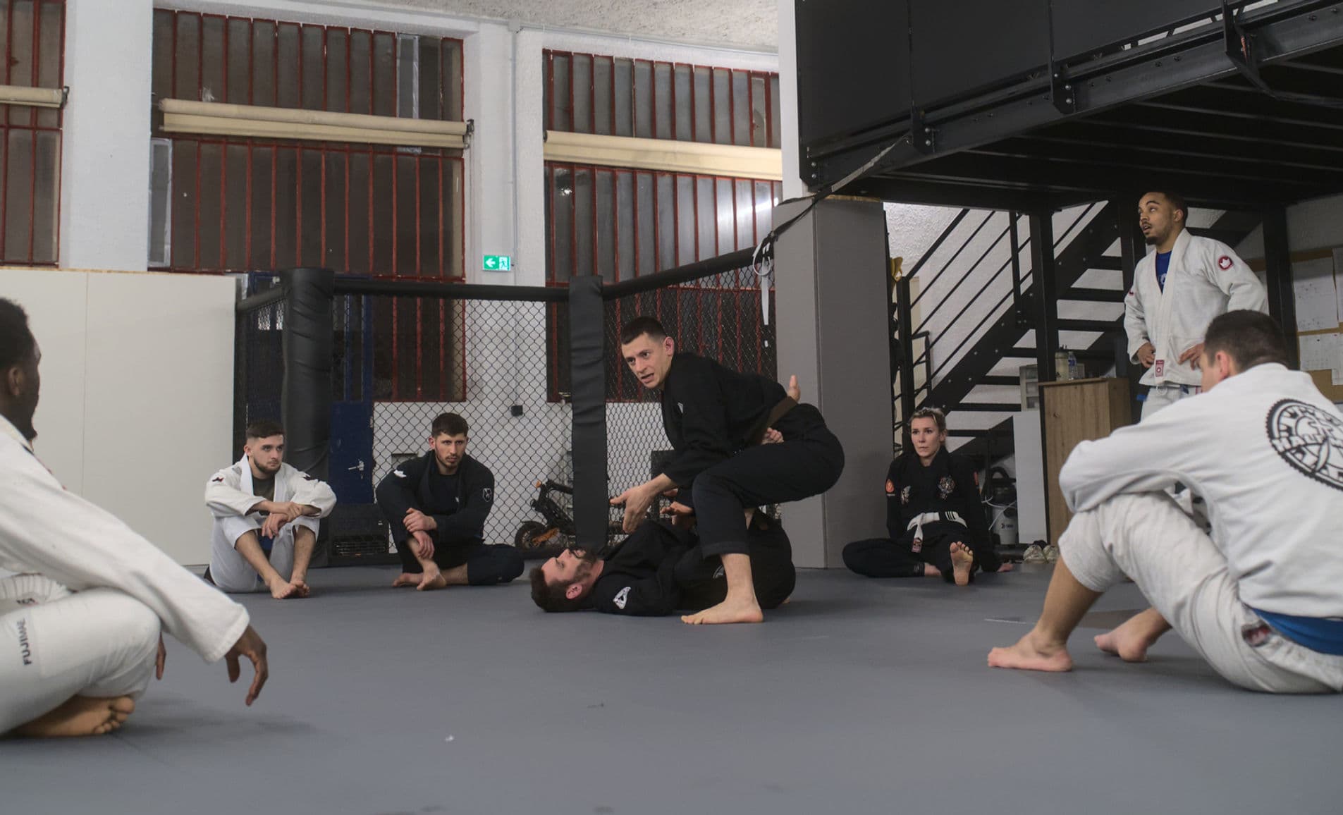 Main image of Aranha Jiu-Jitsu Lyon