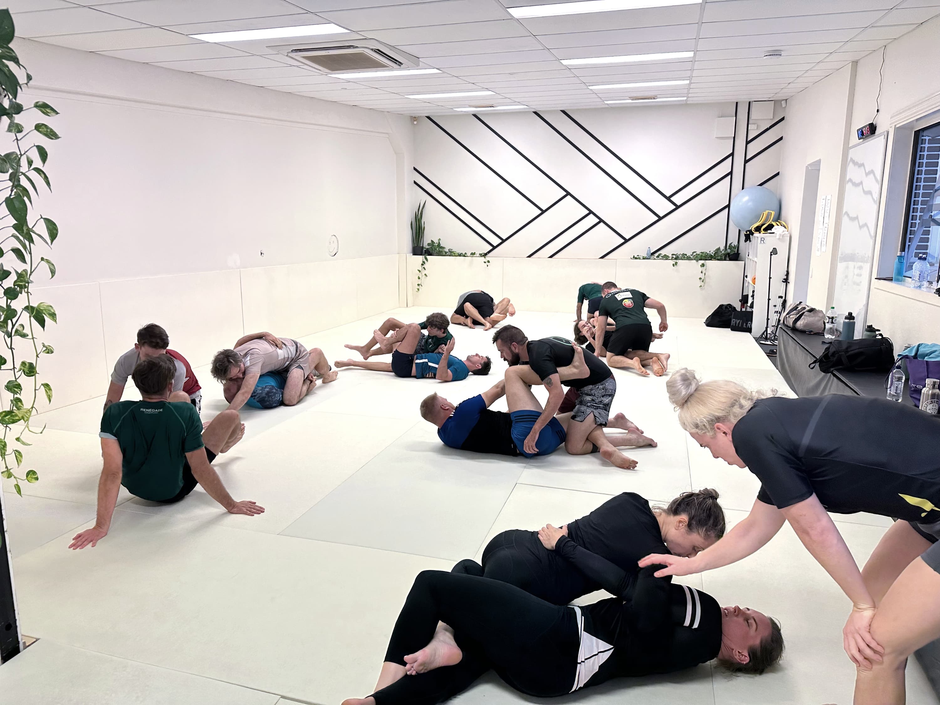 Main image of Renegade Grappling