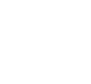 Kinessi logo