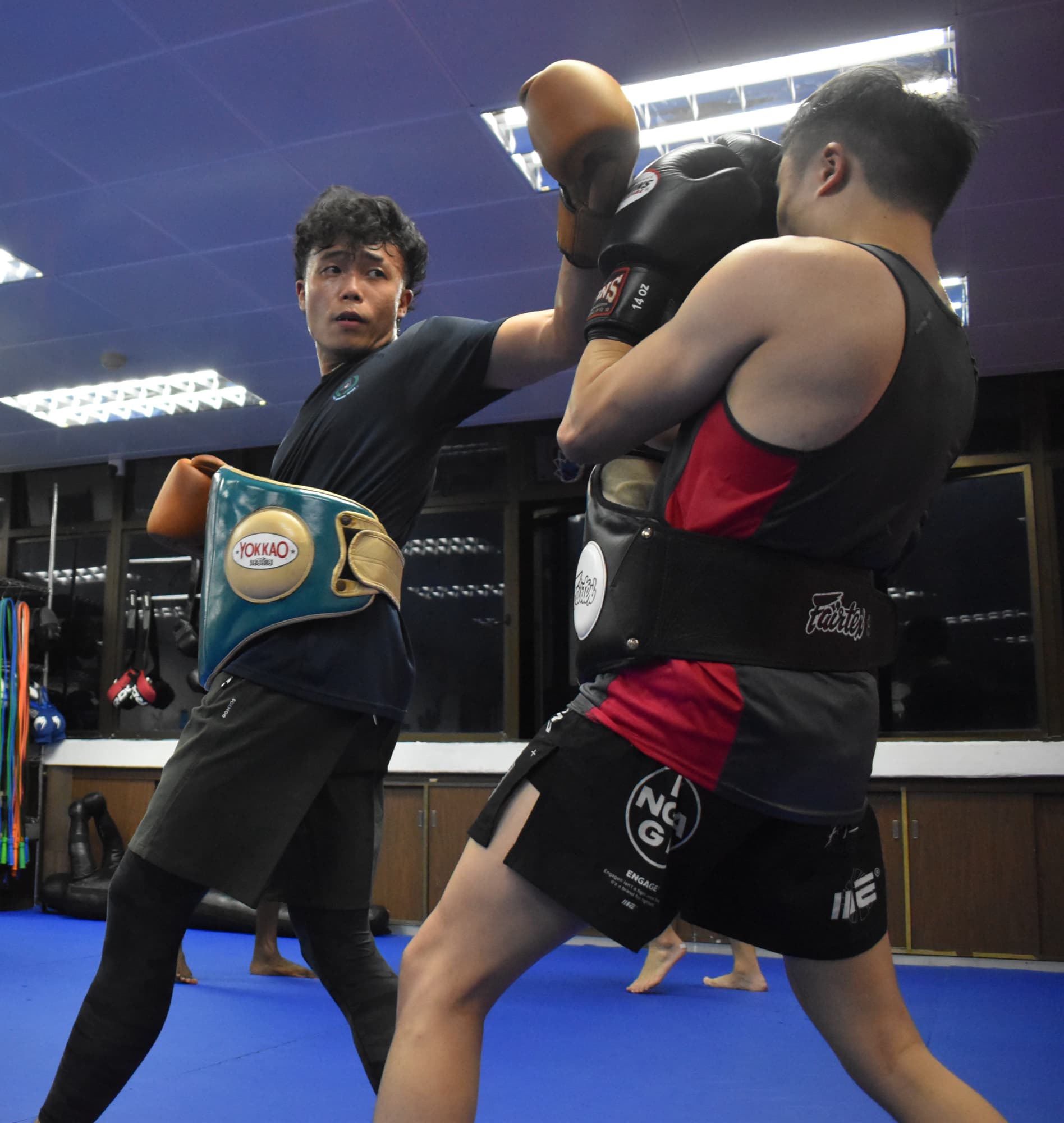 Main image of NEW ERA MMA SG