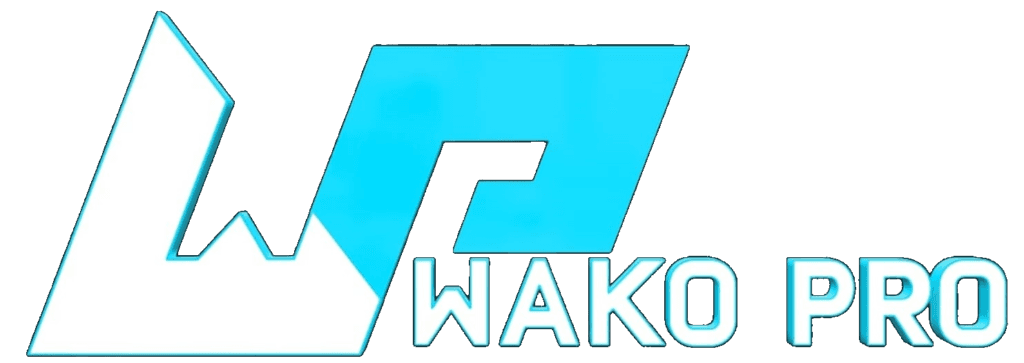 Federación Argentina de Kickboxing logo