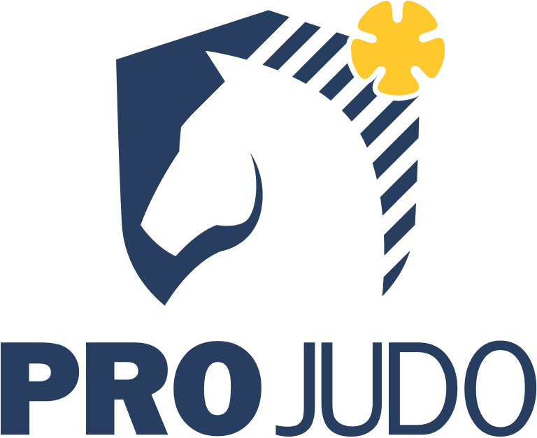 Main image of ProJudo z.s. - ZŠ a MŠ Horymírova
