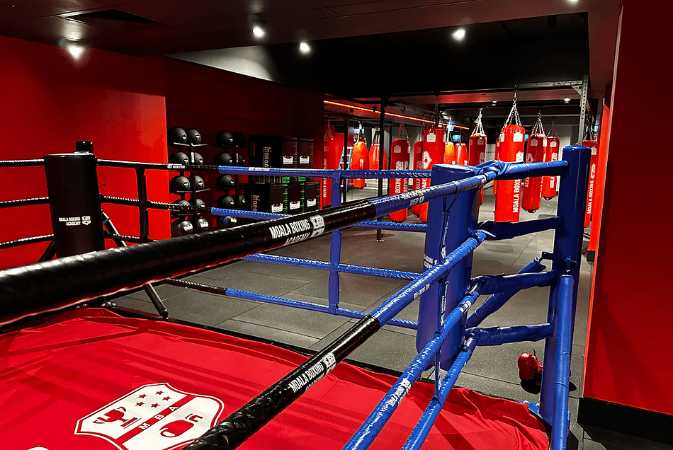 Moala Boxing Academy logo