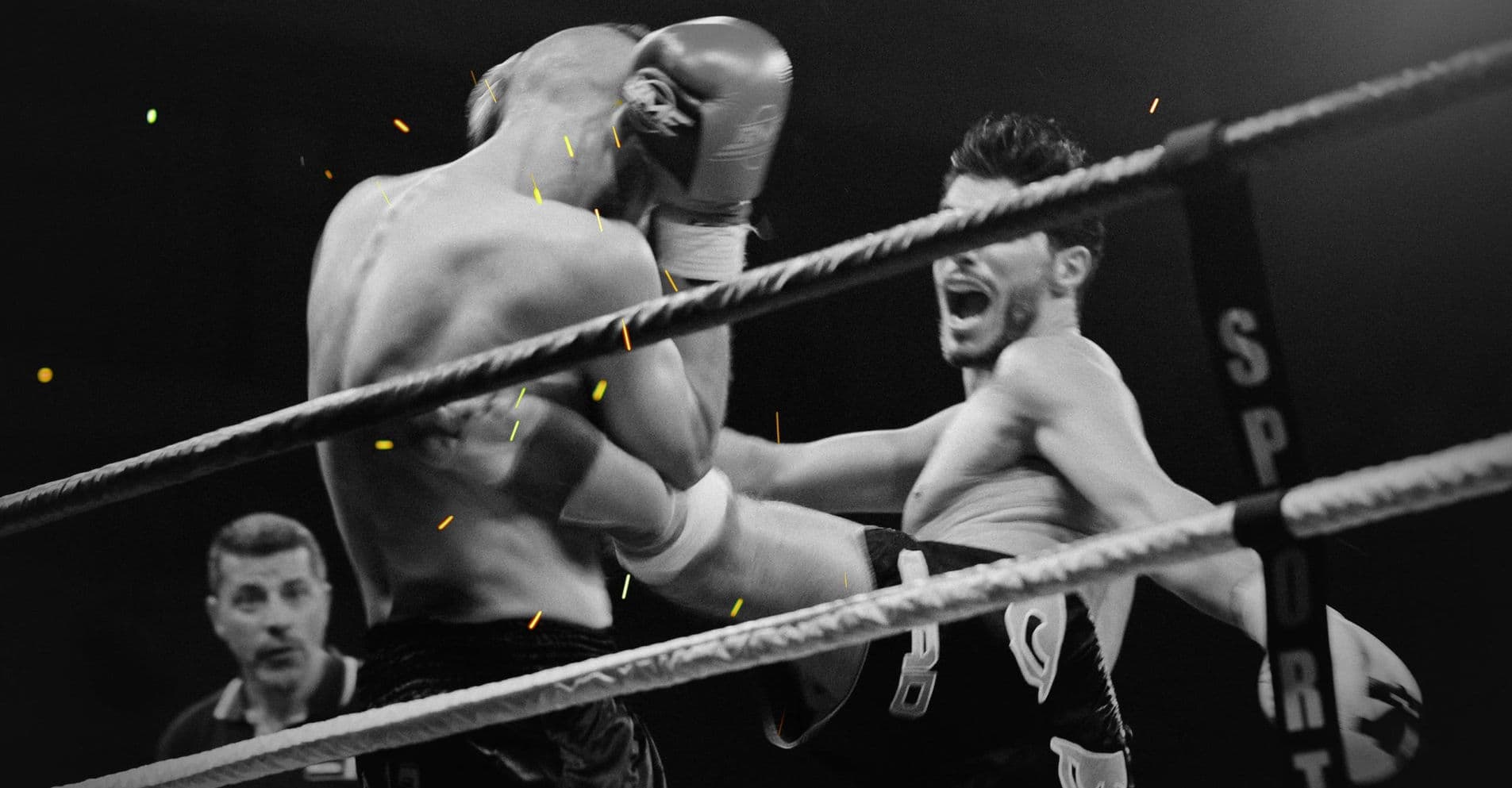 Main image of Felix muay thai gym