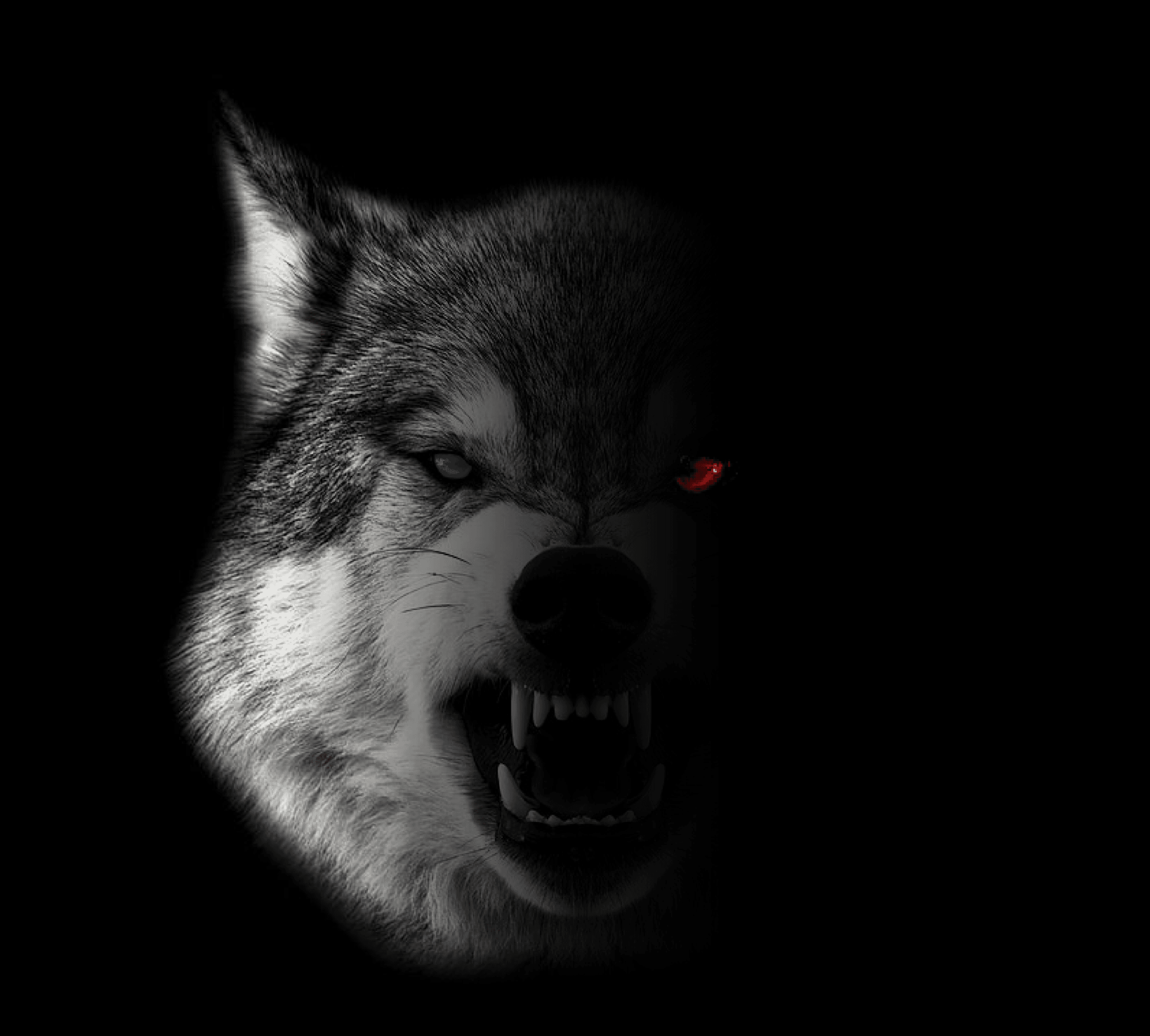 Jekyll and Hyde mma and fitness gym logo