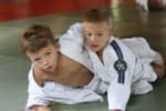 Main image of Judo club "Lynx"