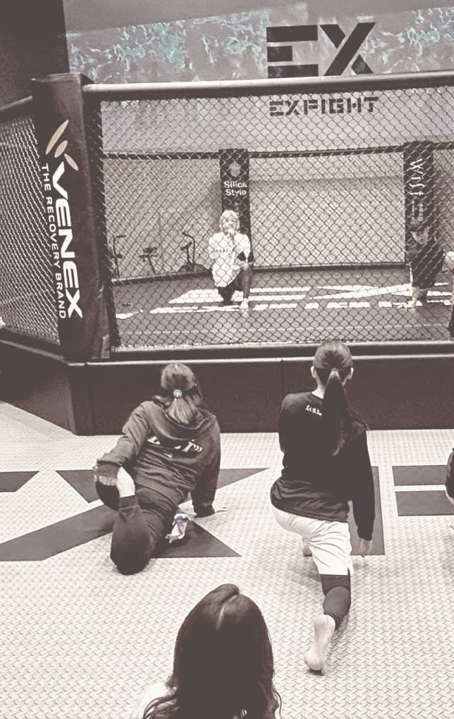Main image of EXFIGHT