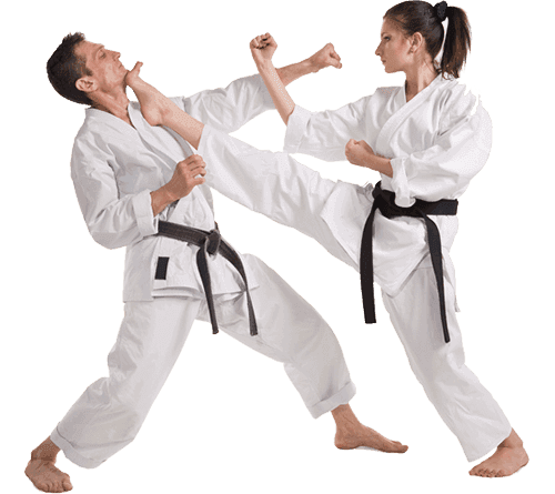 Main image of Martial Art Academy Of India