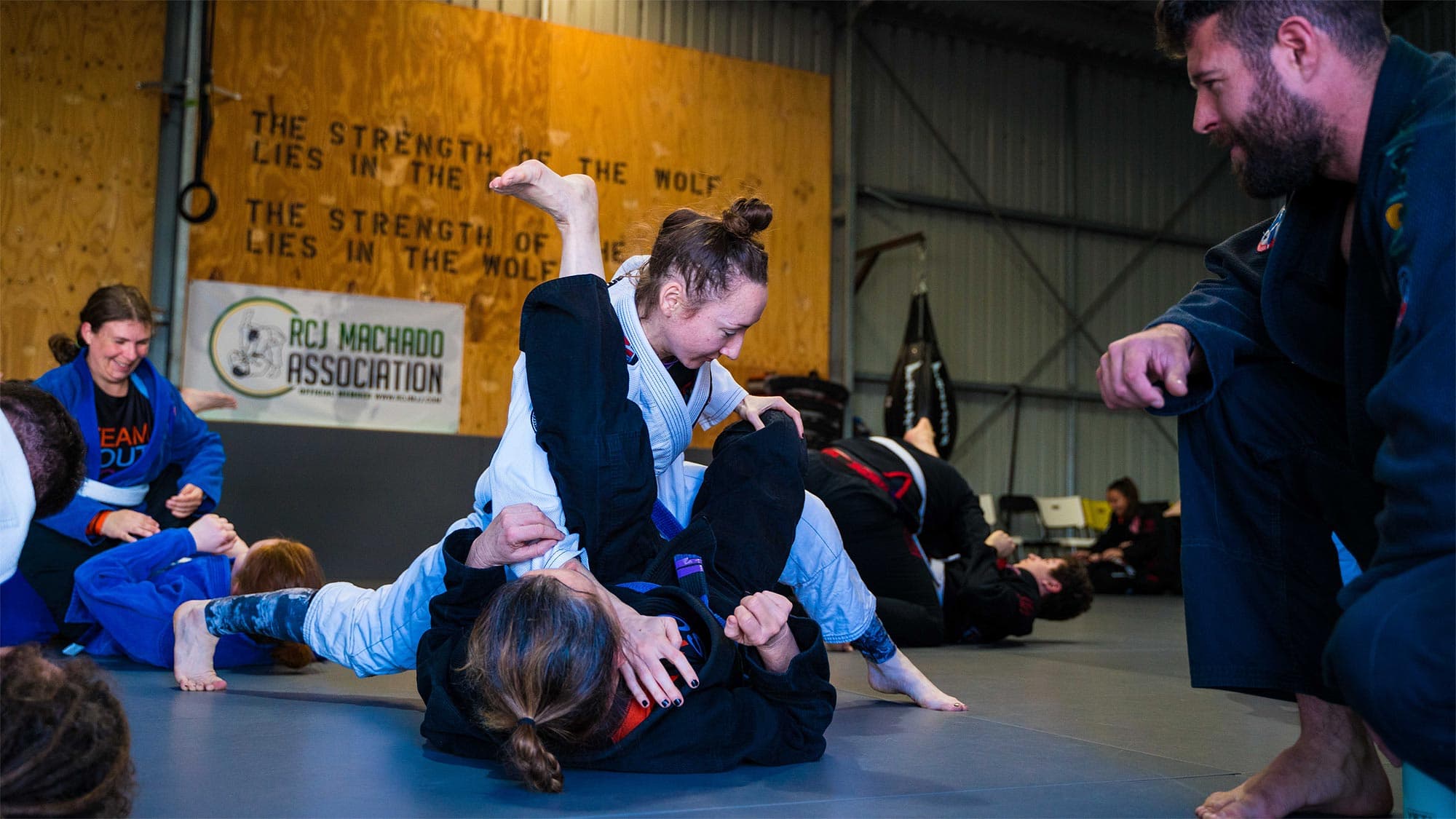 South Coast BJJ & MMA logo