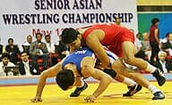 Main image of Wrestling Federation of India