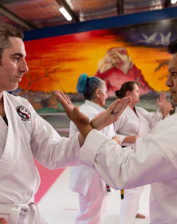 Hunter Valley Martial Arts Centre logo