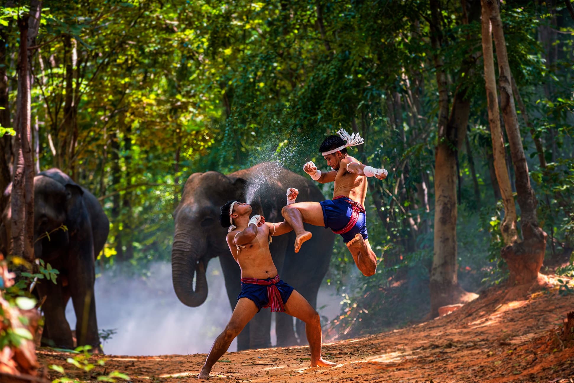Main image of Jatubaht Szczecin – Muay Thai & Treningi Boksu Tajskiego