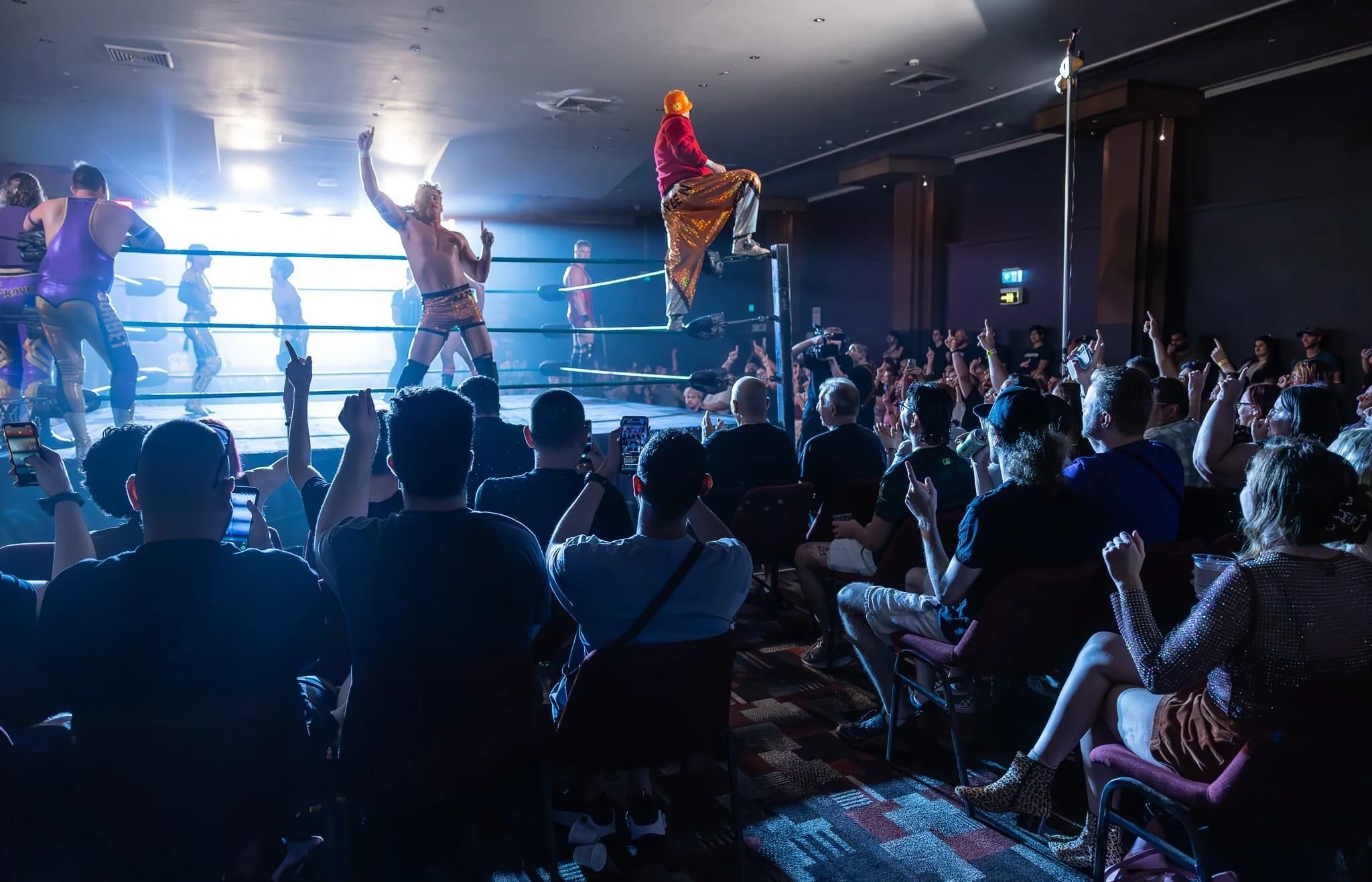 Main image of Pro Wrestling Academy