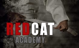 Main image of Redcat Academy