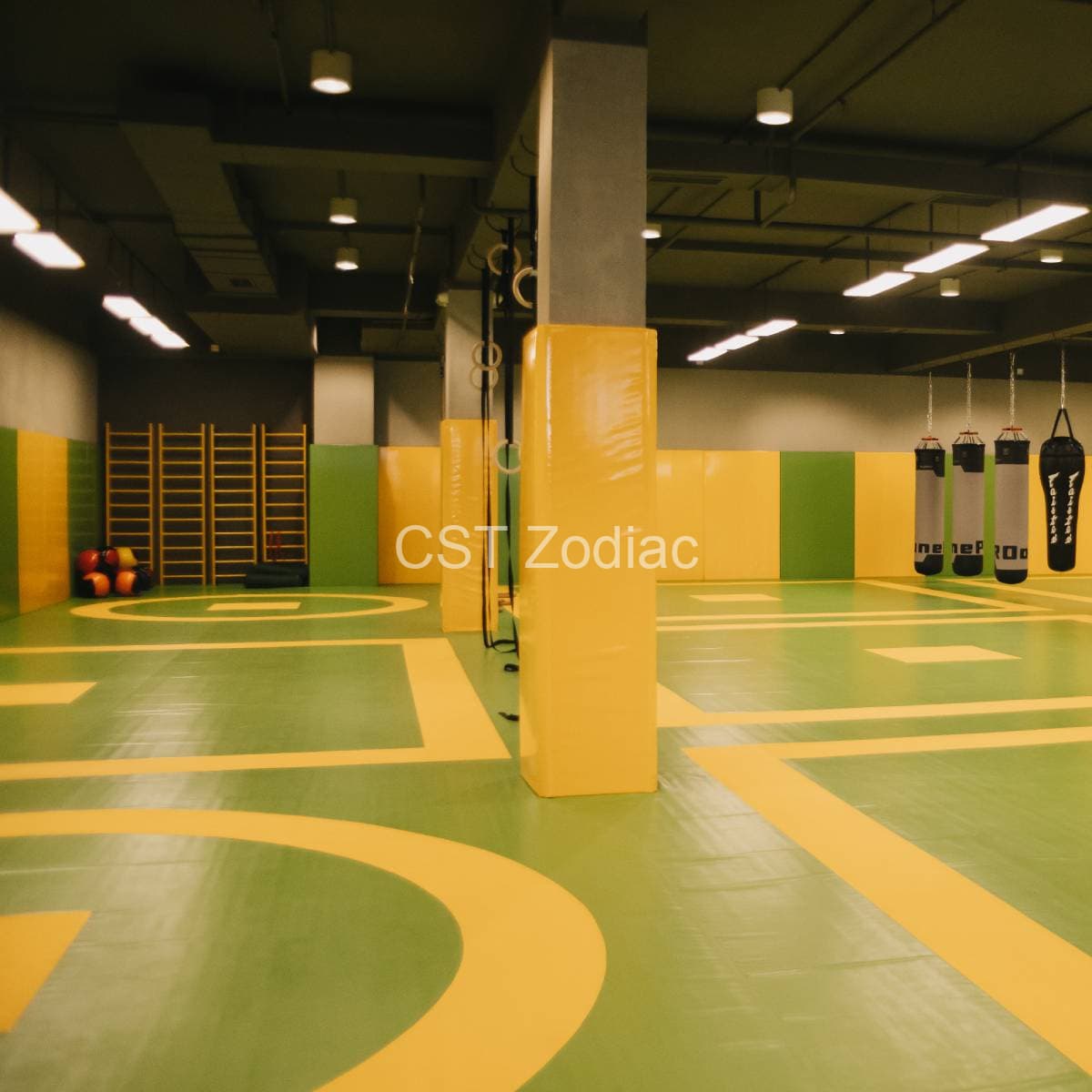 Main image of Tsst Zodiak