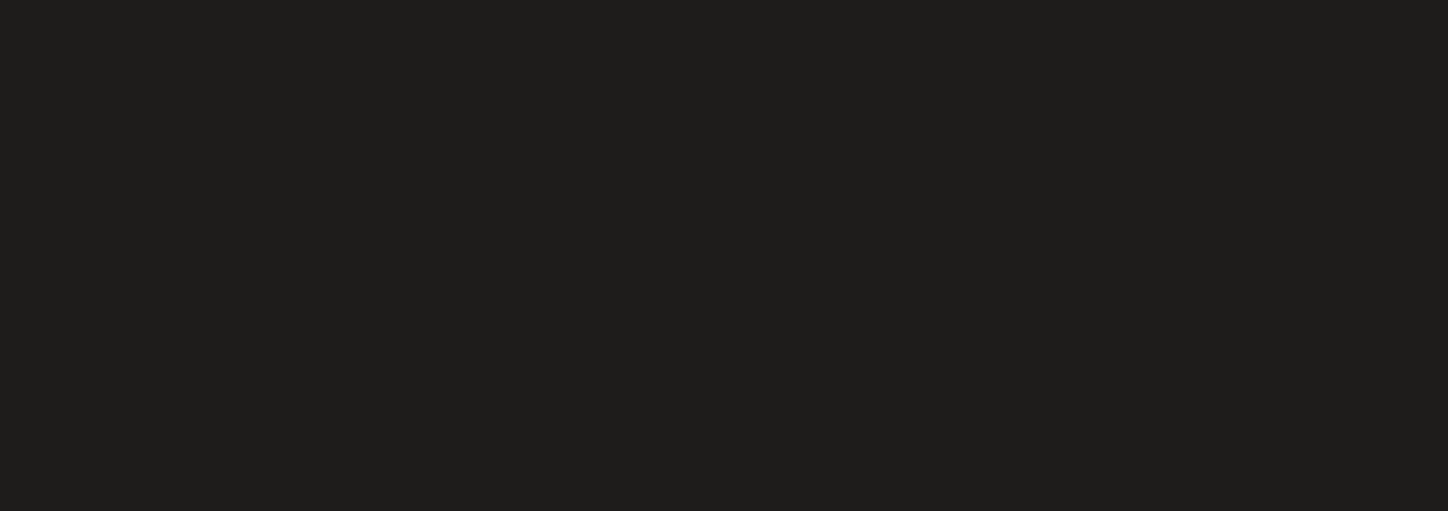 NDSM Fightclub logo