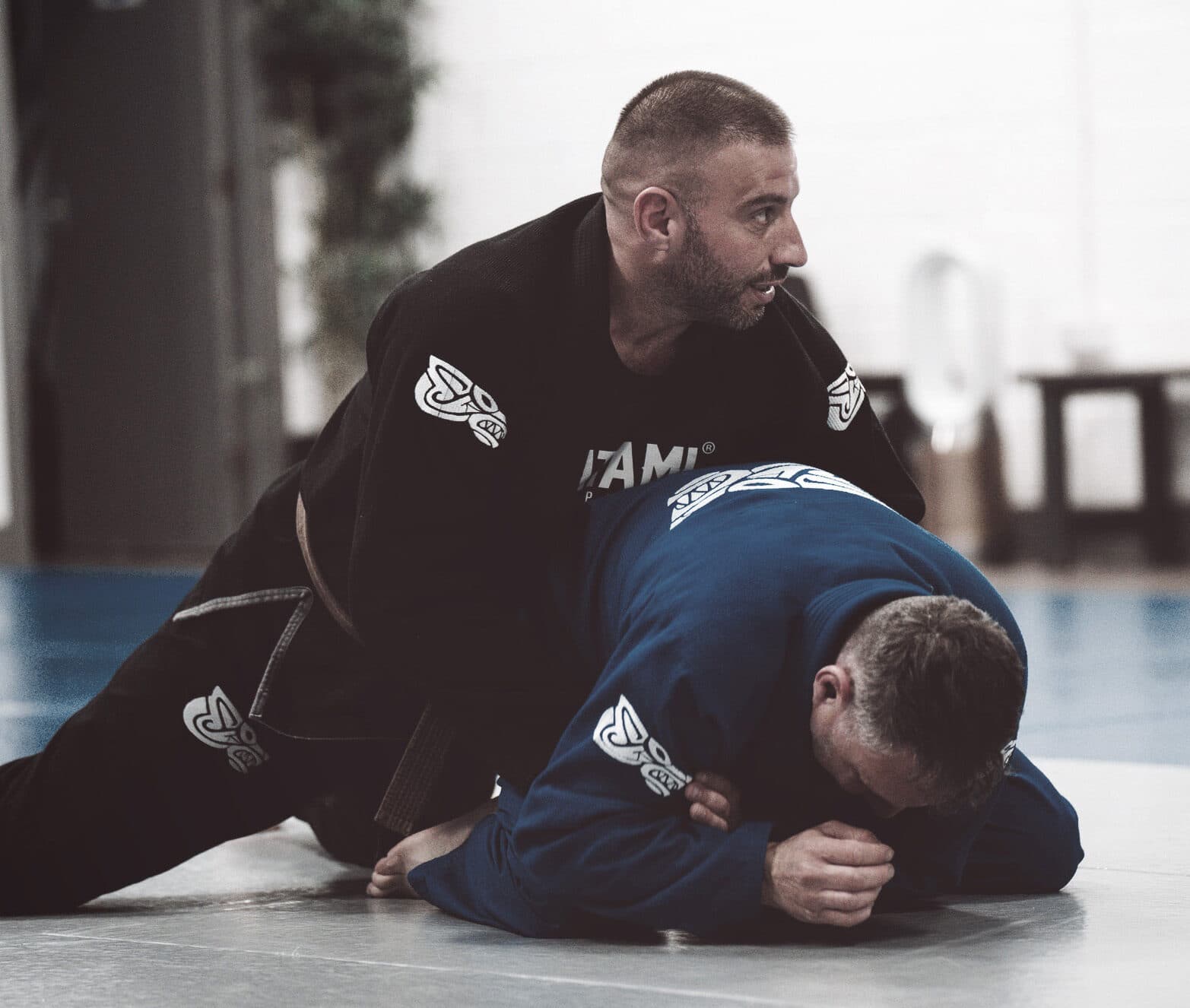 Main image of Lycan Grappling Academy