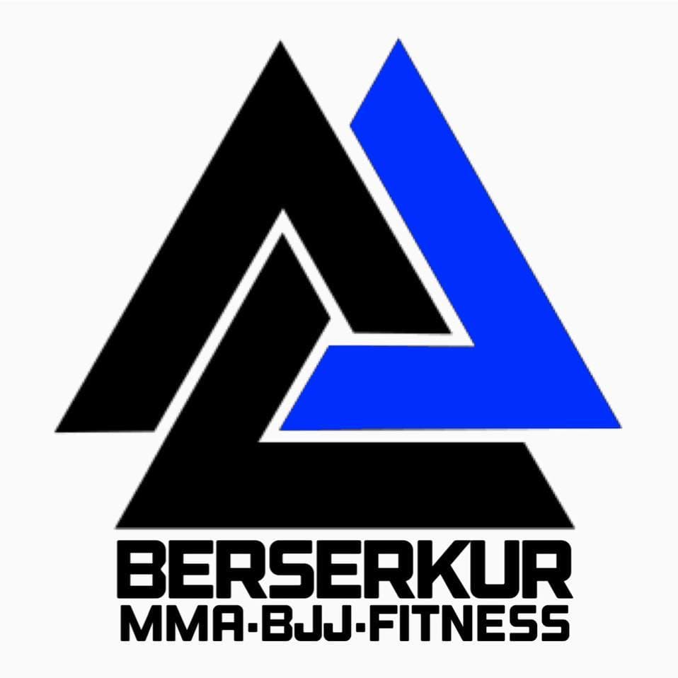 Four Star MMA logo