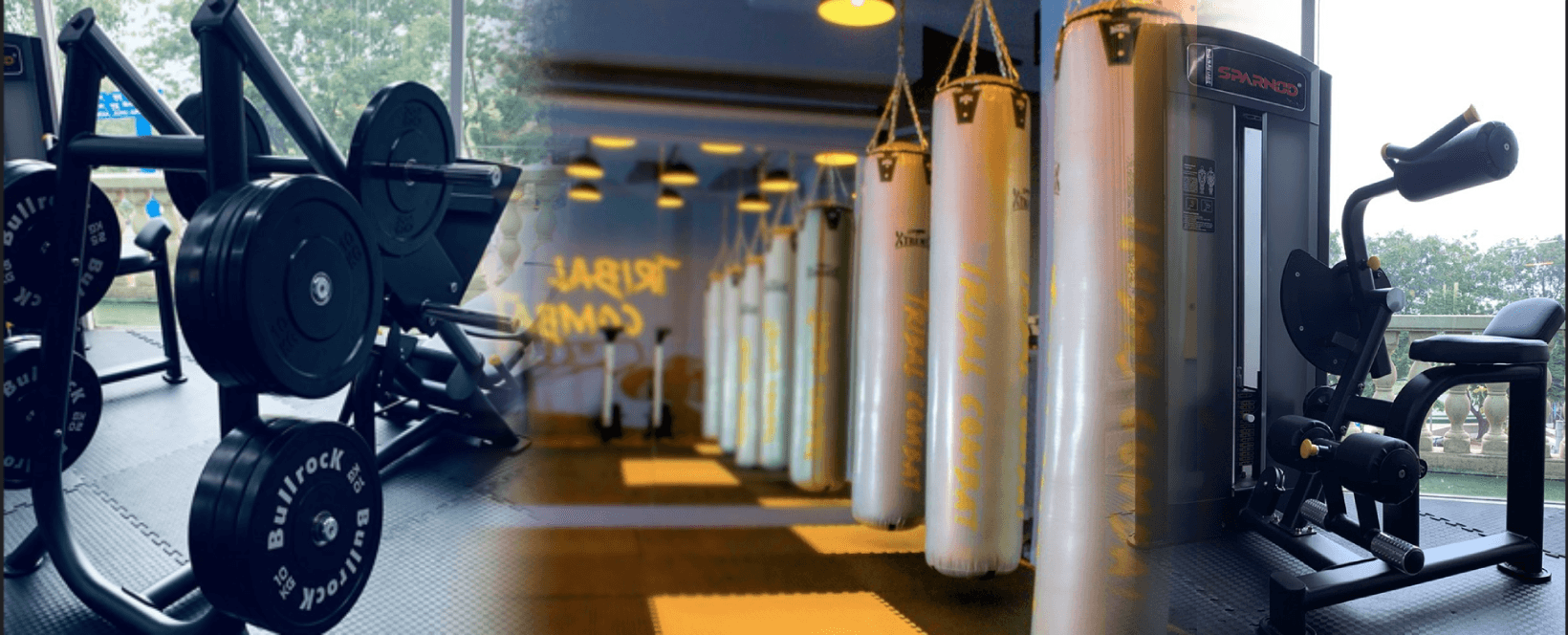 Main image of Tribal Combat Fitness Pro
