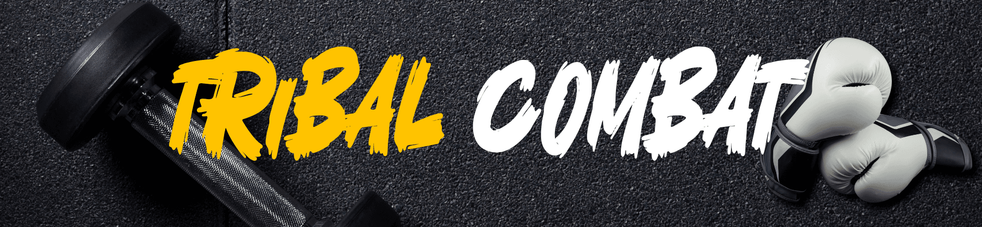 Tribal Combat Fitness Pro logo