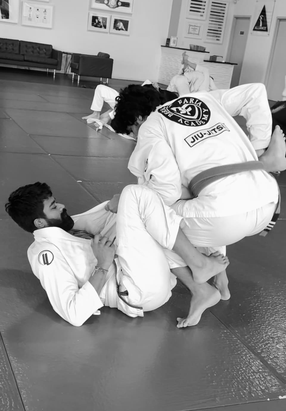 Veeras Jiu-Jitsu Academy logo