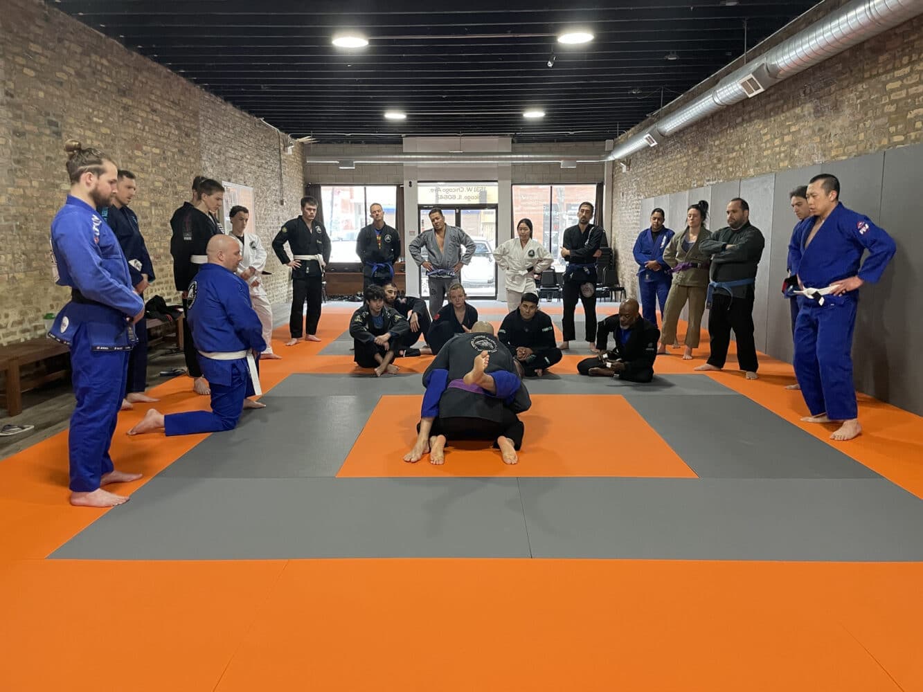 Double Five Jiu-Jitsu logo