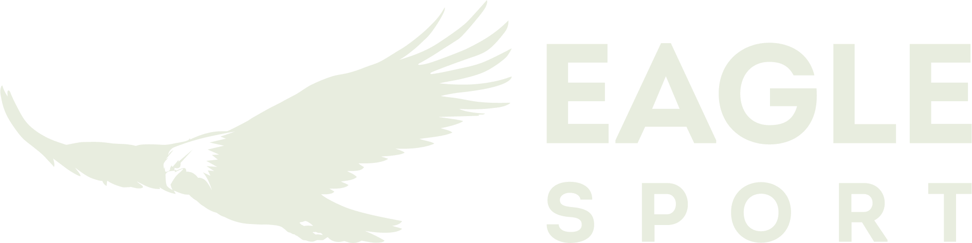 EagleSport logo