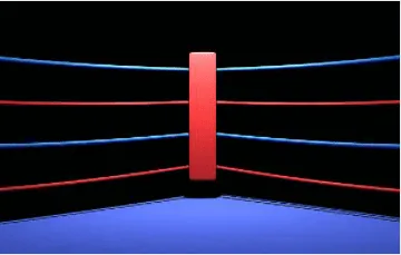 Steele Boxer logo