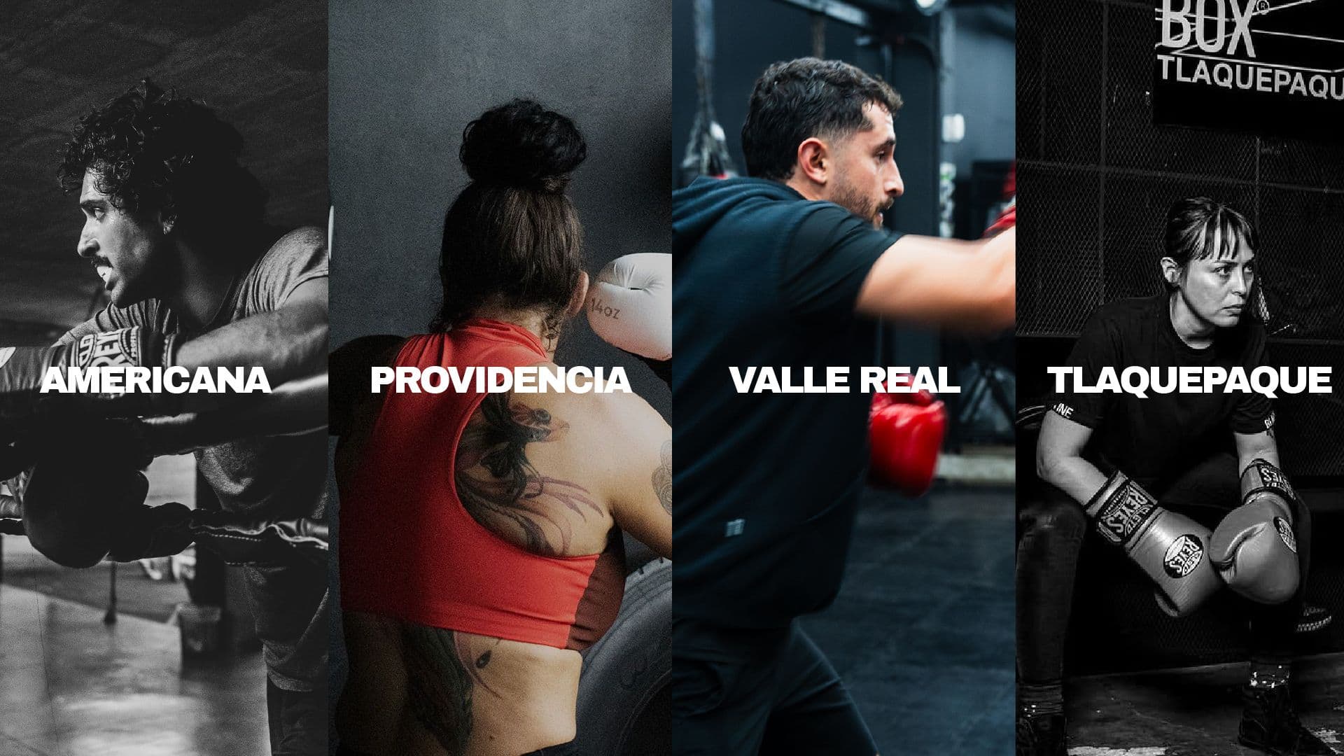 Main image of Black Box Americana - Gimnasio de box