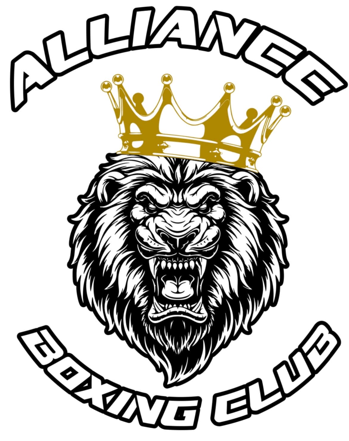 Main image of Alliance Boxing Club