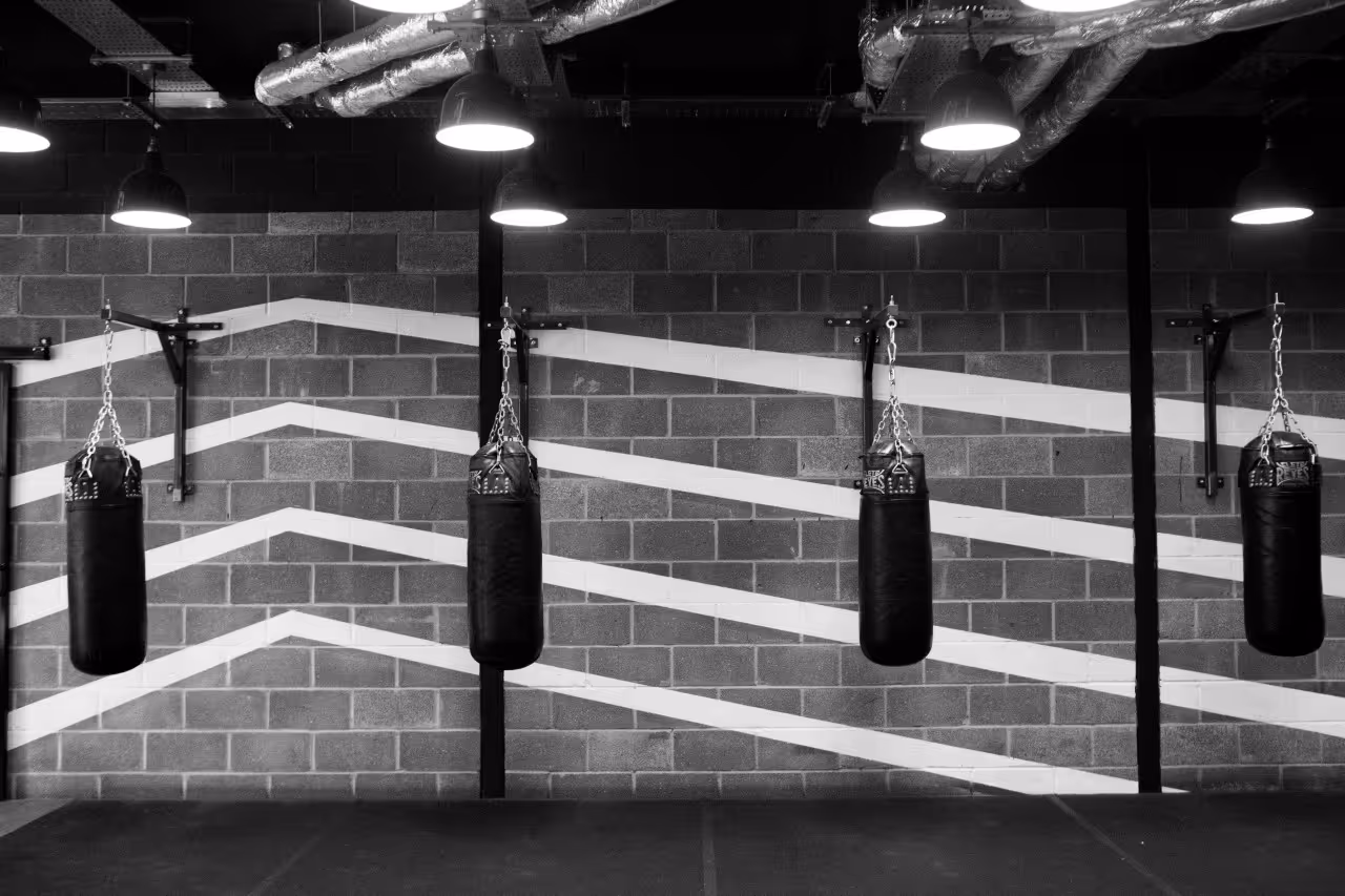 Main image of 12x3 Boxing