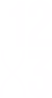 12x3 Boxing logo