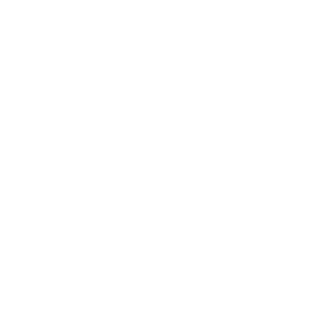 Two on One Academy logo
