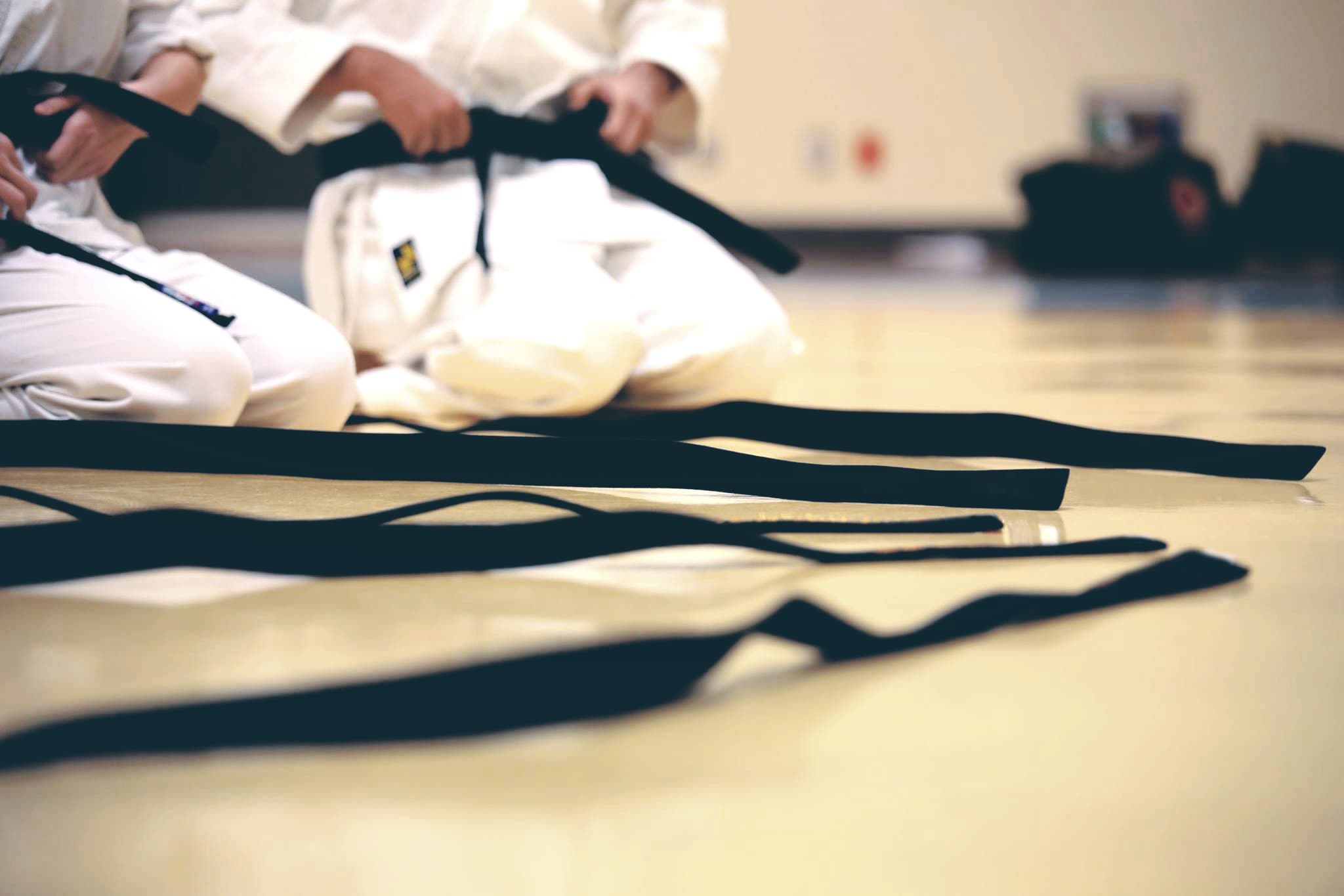 Modern Ju-Jitsu Poznań logo