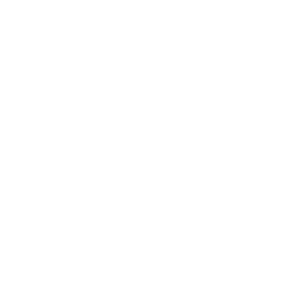 Sportivnyy Klub Yedinoborstv I Funktsional'nogo Treninga Federatsii Boksa Sankt-Peterburga logo