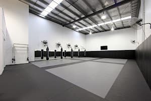 Immersion MMA Ringwood logo