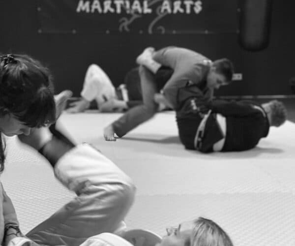 Alleyway Martial Arts logo
