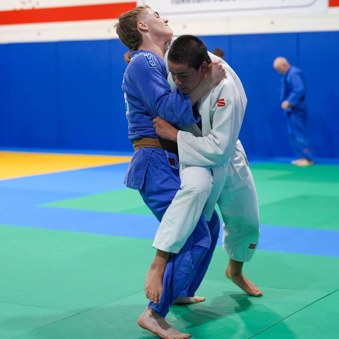Taketani Judo Academy logo