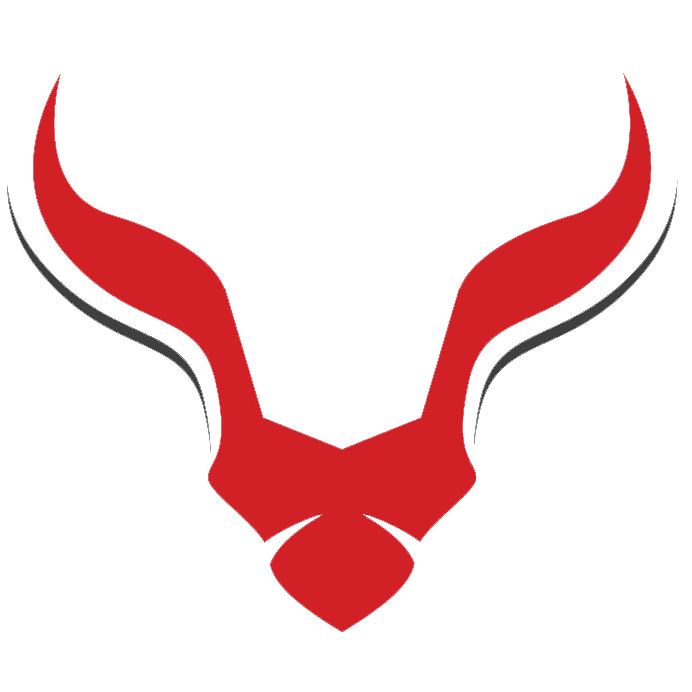 S&B Academy NewCairo logo