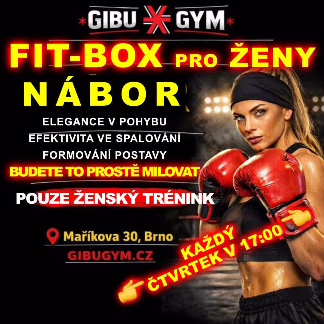 Main image of Gibu Gym