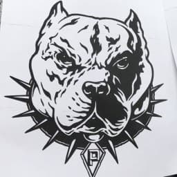 Perez Fighting Systems logo