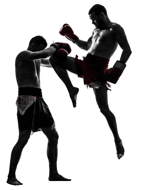 DEMİRPENÇE SPORT CENTER - Muaythai & Kickboxing logo