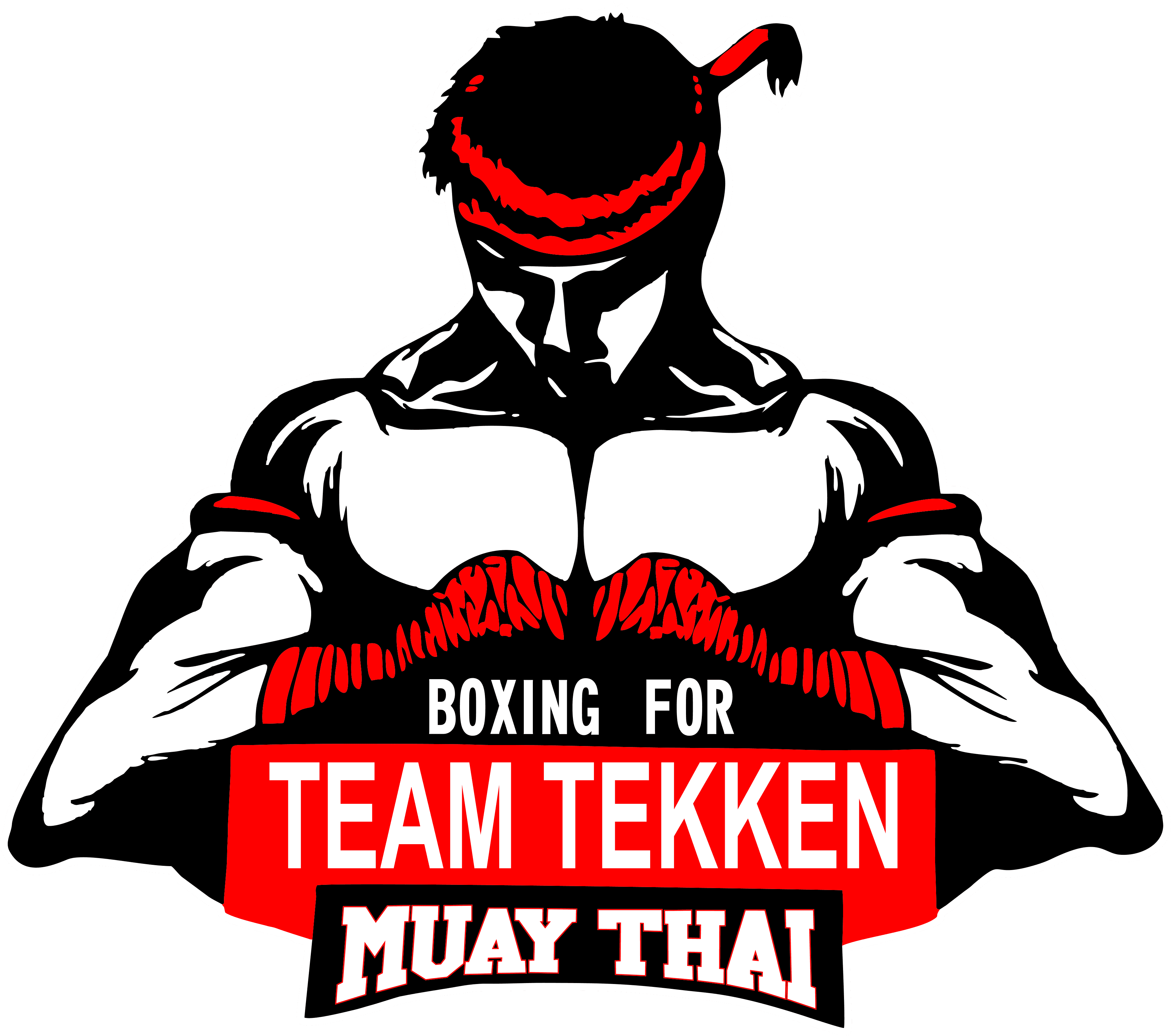 Clubul Sportiv Team Tekken logo