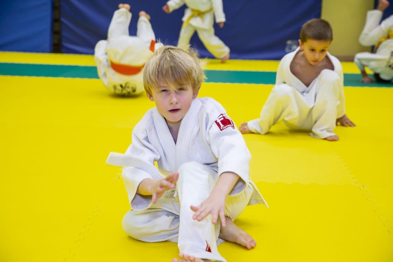 Klub Judo Lemur Warszawa Centrum - Szkoła Judo Dla Dzieci logo