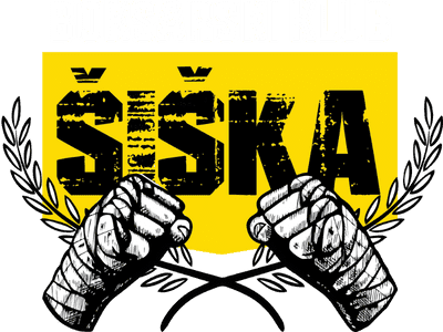 Main image of Boksarski klub Šiška - Šiška boxing