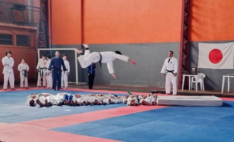 Main image of Asociación de Artes Marciales Judokan