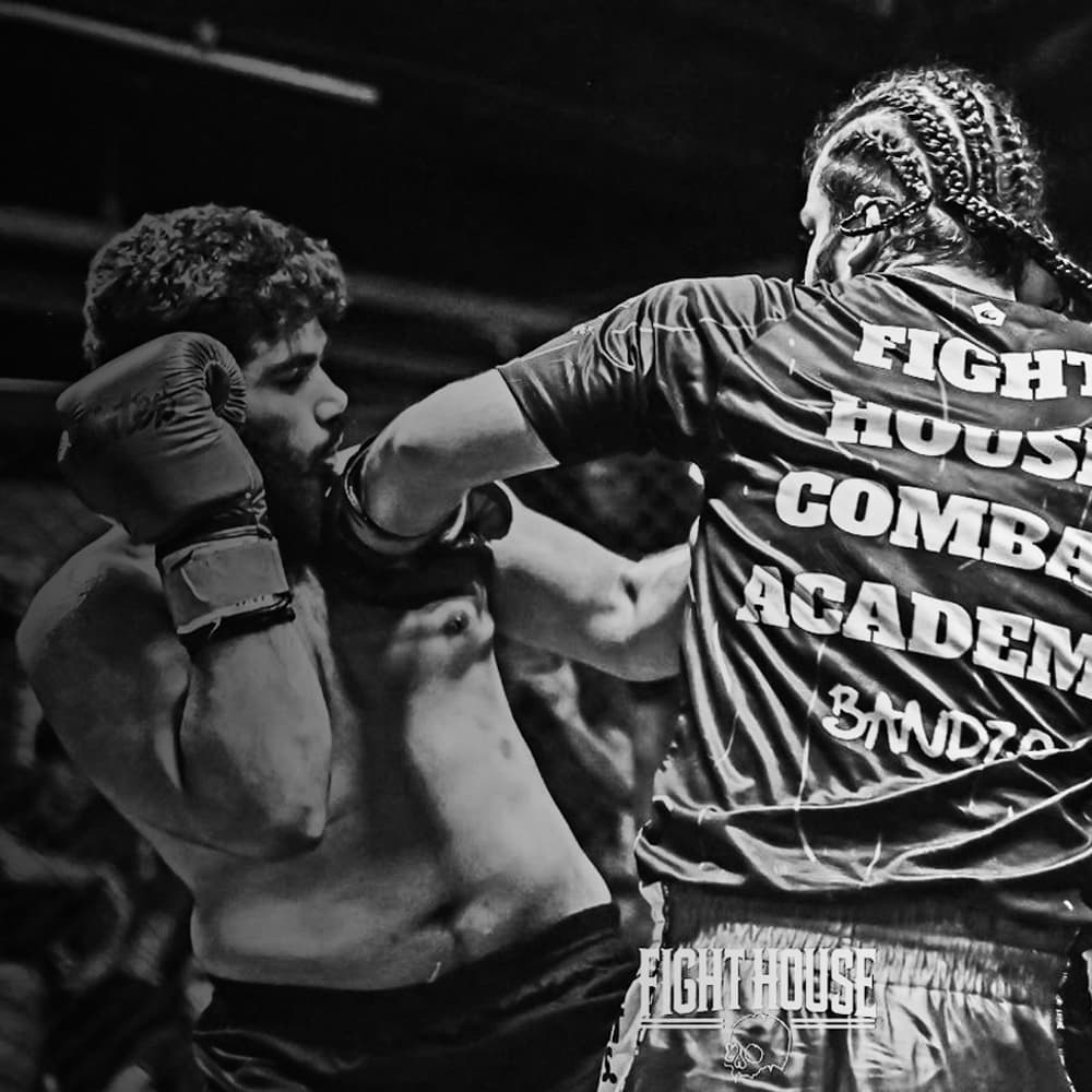 Main image of Fight House